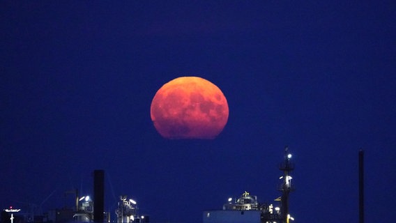 Ein blutroter Mond über dem Hamburger Hafen. © picture alliance/dpa | Marcus Brandt Foto: Marcus Brandt