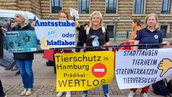 Mehrere Personen nehmen an einer Demo teil. © NDR Foto: Karsten Sekund