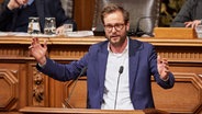 Anjes Tjarks (Bündnis 90/Die Grünen) spricht während der Sitzung der Hamburgischen Bürgerschaft im Rathaus. © dpa Foto: Georg Wendt