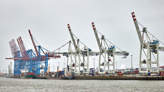 Blaue und weiße Kräne stehen am Container-Terminal Tollerort im Hamburger Hafen. © picture alliance / dpa Foto: Georg Wendt