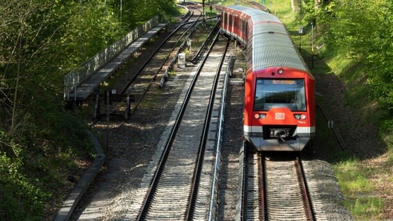 Eine S-Bahn fährt in Hamburg auf einer Bahnstrecke im Grünen. © imageBROKER Foto: Christopher Tamcke