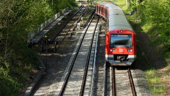 Eine U-Bahn der Linie U1 fährt in Hamburg auf einer Bahnstrecke im Grünen. © imageBROKER Foto: Christopher Tamcke