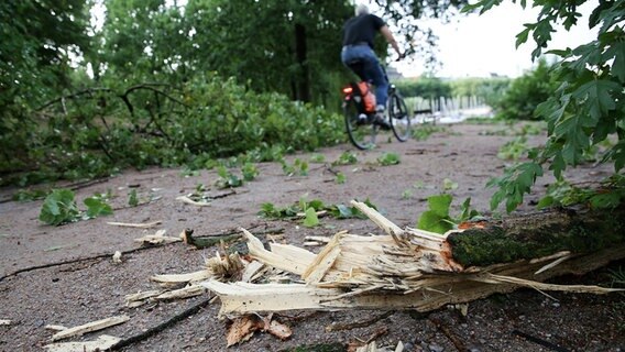 Abgebrochene Äste liegen in Hamburg auf einem Weg. © dpa-Bildfunk Foto: Bodo Marks
