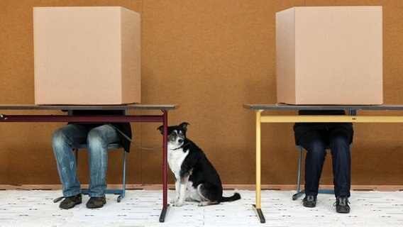 Wähler geben ihre Stimme zur Bürgerschaftswahl in Hamburg ab. © dpa Foto: Bodo Marks