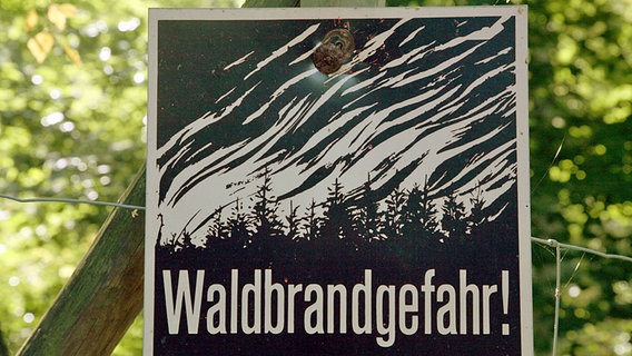 Ein Schild mit der Aufschrift "Waldbrandgefahr" in einem Wald. © imago 