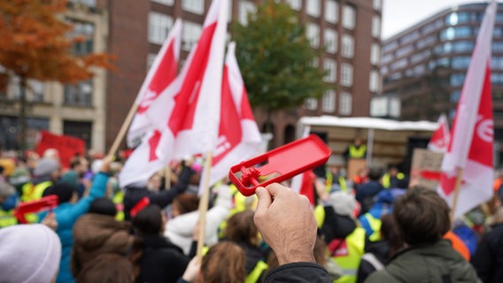 Streikteilnehmende protestieren mit Fahnen und Plakaten während einer Kundgebung der Gewerkschaft ver.di in Hamburg. © picture alliance/dpa Foto: Marcus Brandt
