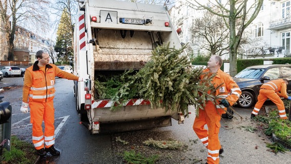 Mitarbeiter der Hamburger Stadtreinigung sammeln ausgediente Weihnachtsbäume vom Straßenrand ein. © picture alliance / dpa Foto: Markus Scholz
