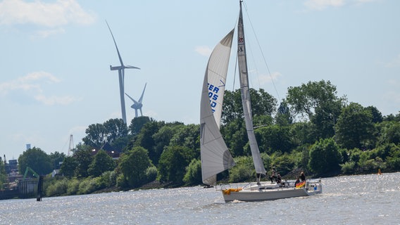 Ein Segelschiff fährt im Wind auf der Elbe vor zwei Windrädern im Hafen. © picture alliance/dpa | Jonas Walzberg Foto: Jonas Walzberg