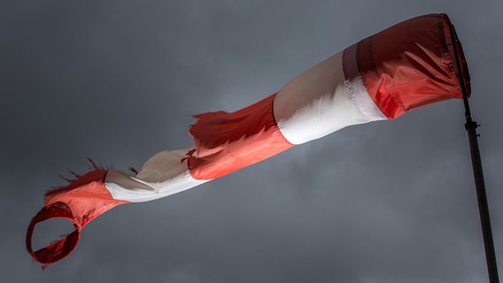 Ein Windsack weht vor grauen Wolken. © picture alliance / dpa Foto: Michael Reichel