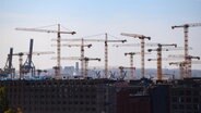 Zahlreiche Baukräne vor blauem Himmel im Hamburger Stadtteil Hafencity. © picture alliance/dpa Foto: Jonas Walzberg