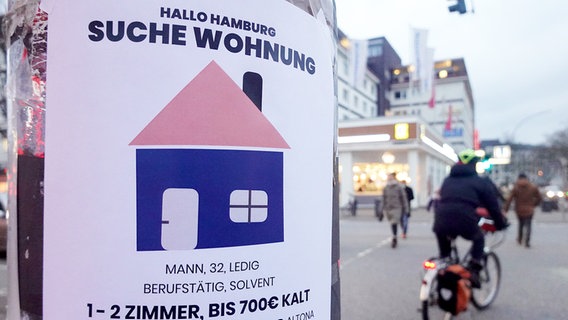Ein Plakat an einem Ampelmast mit der Aufschrift "Hallo Hamburg, suche Wohnung". © picture alliance/dpa Foto: Marcus Brandt
