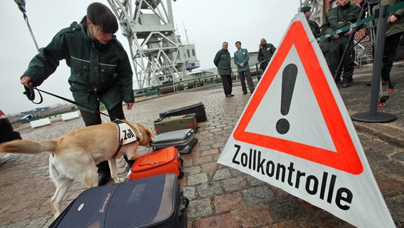 Eine Zollbeamtin kontrolliert mit ihrem auf Artenschutz spezialisiertem Spürhund Koffer im Hafen von Hamburg. © picture alliance / dpa Foto: Bodo Marks