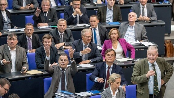 Abgeordnete der AfD sitzen sich im Bundestag und gestikulieren emotional. © Picture Alliance/ Michael Kappeler Foto: Michael Kappeler