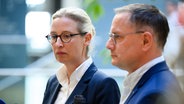 Die AfD-Vorsitzenden Alice Weidel und Tino Chrupalla © dpa Foto: Bernd von Jutrczenka