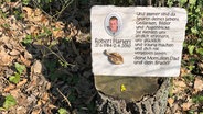 Gedenkstein für den Soldaten Robert Hartert am Boden im "Wald der Erinnerung". © NDR 
