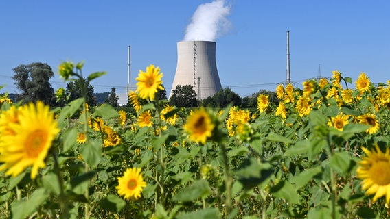 Sonnenblumen vor dem Atomkraftwerk Isar 2 © picture alliance Foto: SVEN SIMON | Frank Hoermann