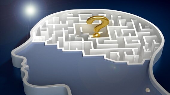 Schematische Darstellung eines Kopfes, in dem sich ein Labyrinth und ein Fragezeichen befindet. © iStockphoto.com Foto: Baris Simsek