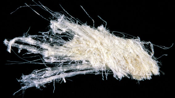 Eine Asbestfaser liegt unter dem Mikroskop. © dpa Foto: Wildlife/D. Harms