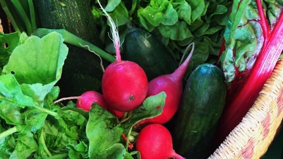 Verschiedene Gemüsesorten in einem Korb. © NDR Foto: Claudia Plaß