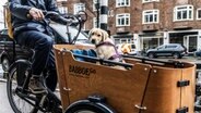 Ein Lastenfahrrad von Babboe. © picture alliance / ANP Foto: Eva Plevier