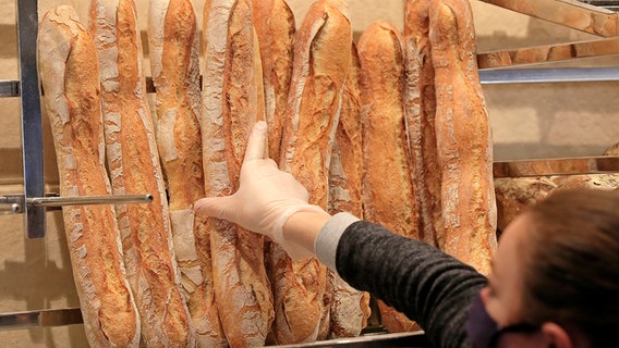 Mehrere Baguettes stehen hochkant beim Bäcker, eine Hand greift danach. © dpa Bildfunk Foto: Michel Euler