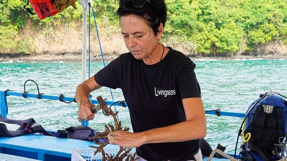 Claudia Koch von der Living Seas Foundation arbeitet mit Korallen. Claudia Koch von der Living Seas Foundation arbeitet mit Korallen. © Living Seas Foundation