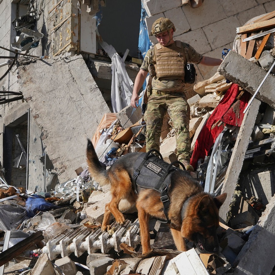 Ein ukrainischer Soldat sucht in Charkiw mit einem Hund nach Opfern in einem Wohnhaus, das nach einem russischen Bombenangriff schwer beschädigt wurde. © AP/dpa Foto: Andrii Marienko