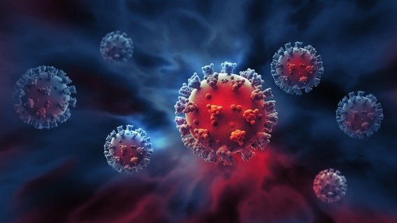 Modell eines Corona-Virus vor dunklem Hintergrund © picture alliance / Zoonar | Alexander Vasilyev Foto: Alexander Vasilyev