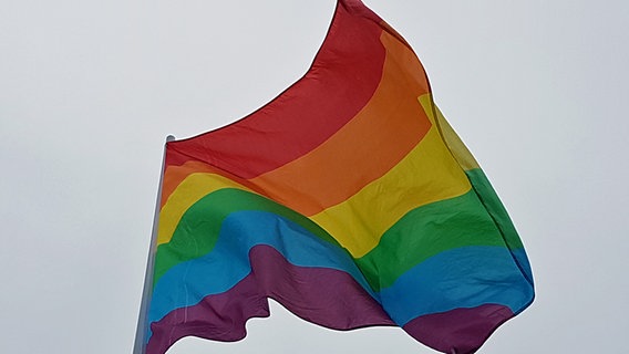 Die Regenbogenflagge der Schwulen- und Lesbenbewegung. © NDR Foto: Lisa Knittel