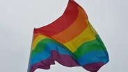 Die Regenbogenflagge der Schwulen- und Lesbenbewegung. © NDR Foto: Lisa Knittel