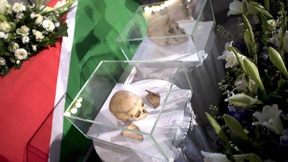 Skulls lying in glass boxes at the French Friedrichstadt Church in Berlin.  © IMAGO / IPON Photo: IMAGO / IPON