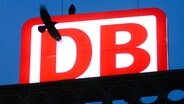 Eine Krähe fliegt vor dem Logo der Deutschen Bahn, eine Krähe sitzt auf dem Logo © dpa Foto: Julian Stratenschulte