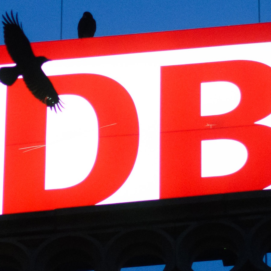 Eine Krähe fliegt vor dem Logo der Deutschen Bahn, eine Krähe sitzt auf dem Logo © dpa Foto: Julian Stratenschulte