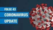 Coronavirus-Update mit Virologe Christian Drosten © picture alliance/dpa/Christophe Gateau Foto: Christophe Gateau