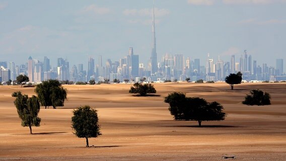 Teilbewachsene Wüste vor der Cityskyline von Dubai. © picture alliance Foto: Kamran Jebreili