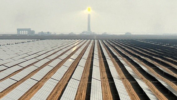 Ein Solarpark in Dubai kurz vor dem Start des UN-Klimagipfels © Kamran Jebreili/AP/dpa 