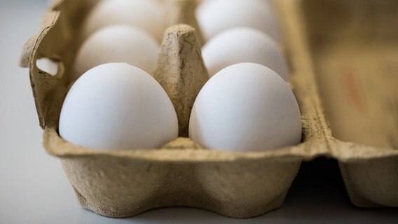 Eierkarton mit Eiern © dpa-Bildfunk Foto: Marcel Kusch, dpa