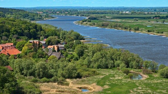 Blick auf die Elbe und Elbaue bei Hitzacker. © picture alliance Foto: Markus Beck