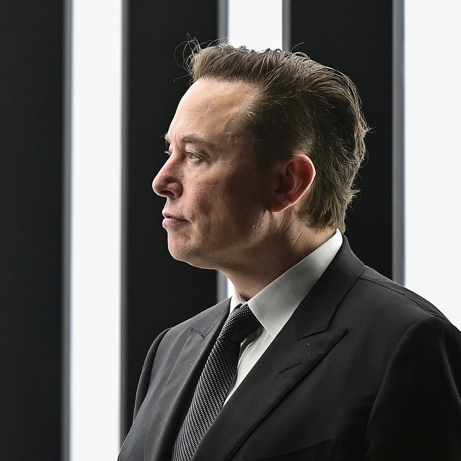 Elon Musk im Profil. © dpa-Bildfunk Foto: Patrick Pleul/dpa