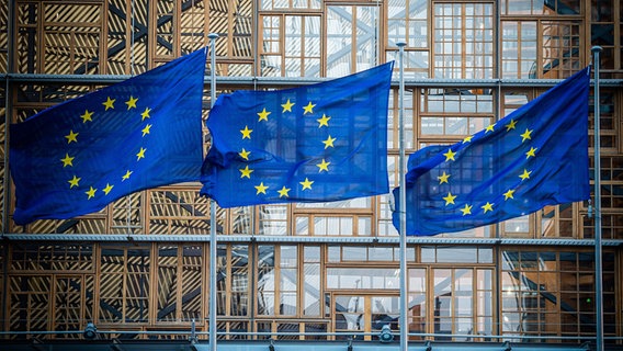 Flaggen der Europäischen Union wehen im Wind vor dem Europa-Gebäude in Brüssel. © dpa bildfunk Foto: Arne Immanuel Bänsch