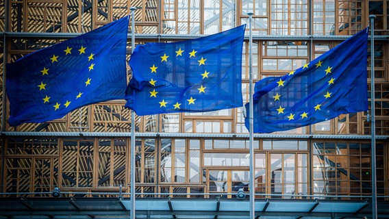 Flaggen der Europäischen Union wehen im Wind vor dem Europa-Gebäude in Brüssel. © dpa Foto: Arne Immanuel Bänsch