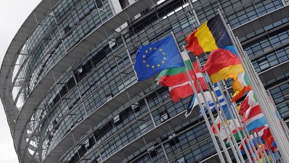 Die Flaggen der Mitgliedsstaaten der EU wehen vor dem Gebäude des EU-Parlaments in Straßburg im Wind. © dpa Foto: Patrick Seeger