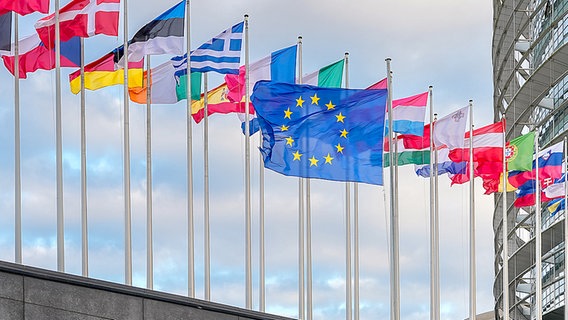 Wehende Flaggen vor dem Louise Weiss Gebäude in der 1 Allée du Printemps, in dem das EU-Parlament tagt. © picture alliance Foto: Marc Vorwerk