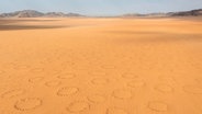 Sandwüsten-Ebene mit so genannten Feenkreisen in Namibia © picture alliance / imageBROKER | Thomas Dressler Foto:  Thomas Dressler