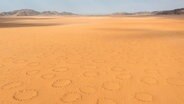 Sandwüsten-Ebene mit so genannten Feenkreisen in Namibia © picture alliance / imageBROKER | Thomas Dressler Foto:  Thomas Dressler