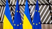 Zwei Fahnen Ukraine stehen abwechselnd neben zwei europäischen Fahnen © picture alliance / Photoshot | - 