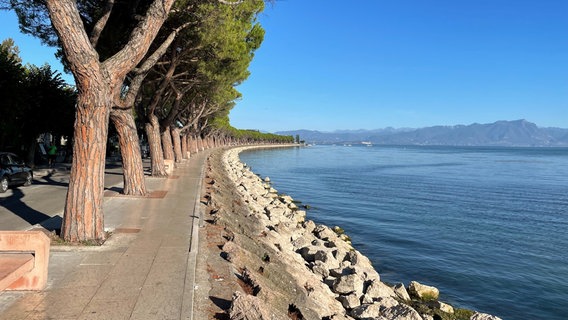 An einer Promenade in Peschiera del Garda ist der niedrige Füllstand des Gardasees erkennbar: Der Pegelstand ist etwa einen Meter niedriger als normal, wie die freiliegenden, andersfarbigen Felsbrocken zeigen. © NDR Foto: Daniel Sprenger