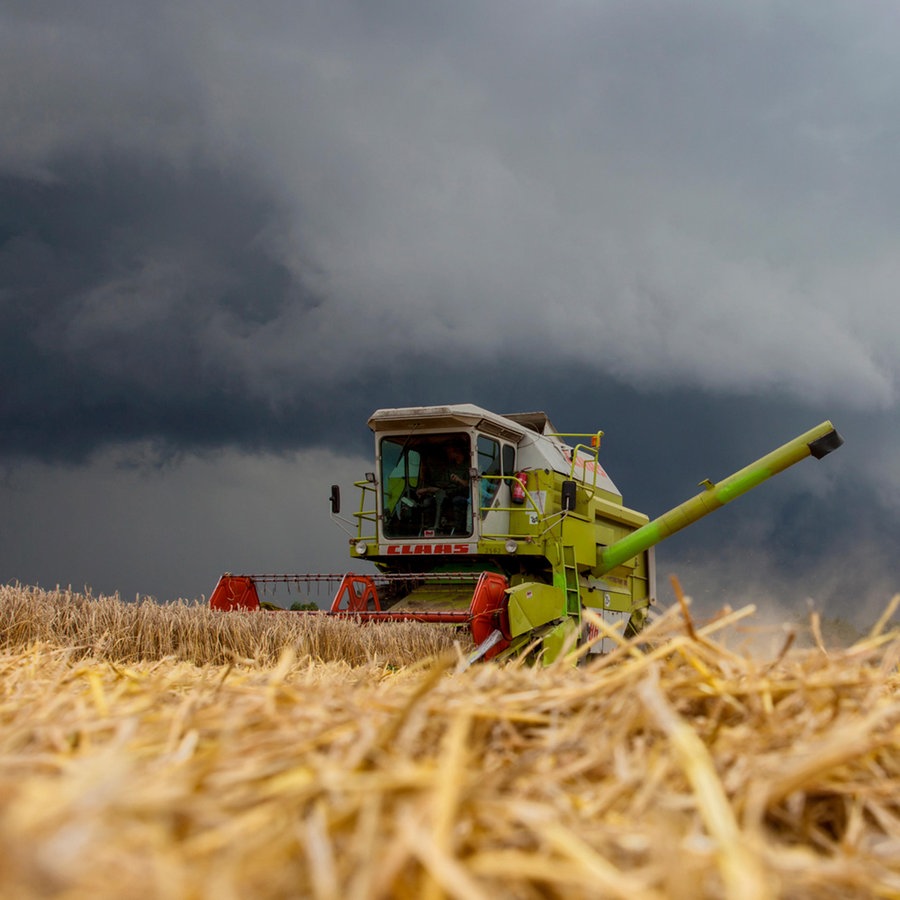 Getreideernte mit einem Mähdrescher kurz vor einem Unwetter © picture alliance Foto: Caro | Schwarz