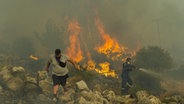 Ein Feuerwehrmann kämpft im Dorf Hasia in der Nähe von Athen gegen einen Waldbrand. © Marios Lolos/XinHua/dpa 