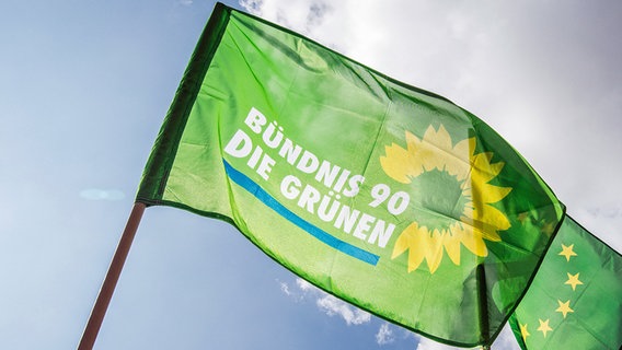 Eine Fahne der Grünen weht vor blauem Himmel. © dpa picture alliance Foto: Sachelle Babbar